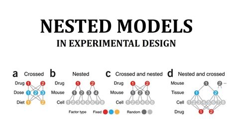 what is a nested model